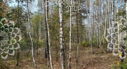 Продаётся земельный участок в г. Ступино. Фотография №7