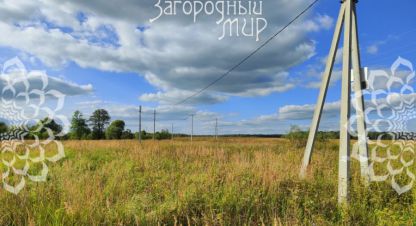 Купить земельный участок в г. Заворово. Фотография №2