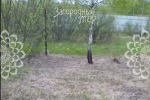 Продам земельный участок, на улице Московская, г. Алексейково д., Московская обл., Россия, агентство АН Загородный Мир 