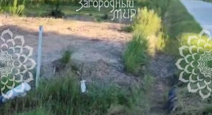 Купить земельный участок в г. Удино. Фотография №3