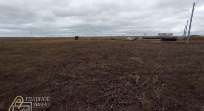 Продам земельный участок, г. Снт большая семья, Новосибирская обл., Россия, агентство Главное звено. Фотография №1