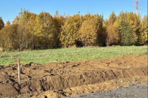 Продам земельный участок, на улице Массив скотное территория, г. Всеволожский район, Ленинградская обл., Россия, агентство JCat