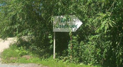 Продам земельный участок, на улице Сосновая, г. Новосибирск, Новосибирская обл., Россия, агентство Главное звено. Фотография №1