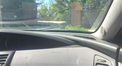 Купить земельный участок на улице Сосновая г. Новосибирск. Фотография №4