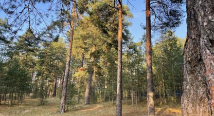 Продам земельный участок, на улице Тихая, г. Посёлок репино, Санкт-Петербург, Россия, агентство Интернет-партнер. Фотография №1