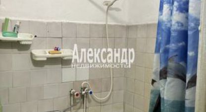 Купить квартиру 3-х комнатную, 56 кв. м., Россия, г. Посёлок репино. Фотография №10