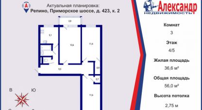 Купить 3-х комнатную квартиру в г. Посёлок репино. Фотография №2