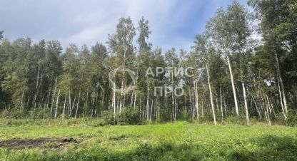Купить земельный участок в г. Екатеринбург. Фотография №3