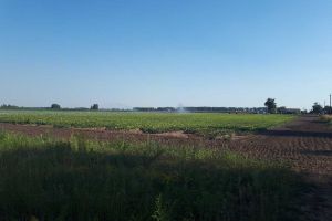 Продам земельный участок, на улице Бориспольский, г. Сеньковка , Киевская обл., Украина, агентство Aspo.biz