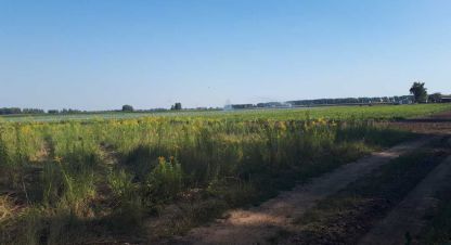 Купить земельный участок в г. Сеньковка . Фотография №3