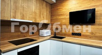 Купить 1 комнатную квартиру в г. Посёлокского типа мисайлово. Фотография №2
