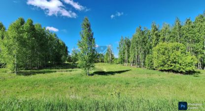 Купить земельный участок на улице Россия г. Кзыл-куль. Фотография №4