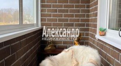 Купить квартиру в г. Лахденпохья. Фотография №3