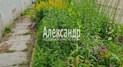 Купить квартиру в г. Лахденпохья. Фотография №3