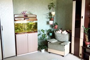 Продам квартиру 2-х комнатную с общей площадью 50.7м2, 3/3 эт., на улице Восточный пер, г. Шапша, Ханты-Мансийский авт. окр., Россия, агентство Интернет-партнер