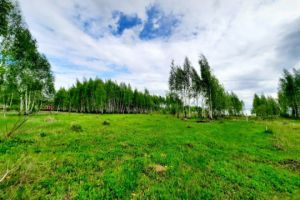 Продам земельный участок, на улице Лиственная, г. Кашира, Московская обл., Россия, агентство Интернет-партнер