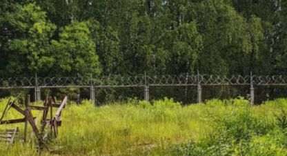 Купить земельный участок в г. Посёлокского типа мисайлово. Фотография №3