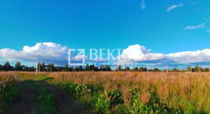 Купить земельный участок в г. Прудищи. Фотография №2