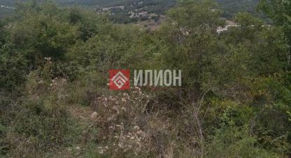 Купить земельный участок г. Новобобровка. Фотография №5