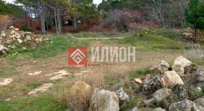 Купить земельный участок в г. Мрия. Фотография №2