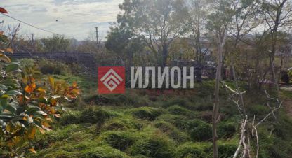 Купить земельный участок г. Тсн снт эдельвейс. Фотография №5