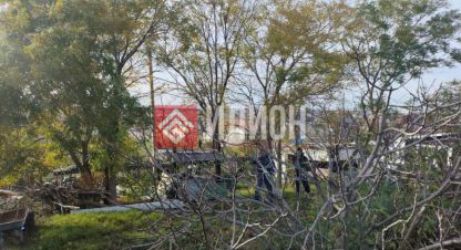 Купить земельный участок, Россия, г. Тсн снт эдельвейс. Фотография №8