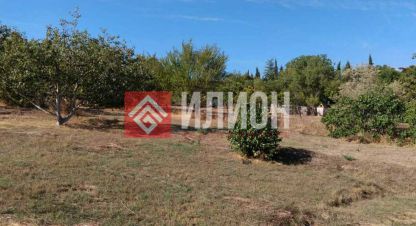 Купить земельный участок. Фотография №10 Купить земельный участок, Россия, г. Передовое. Фотография №10