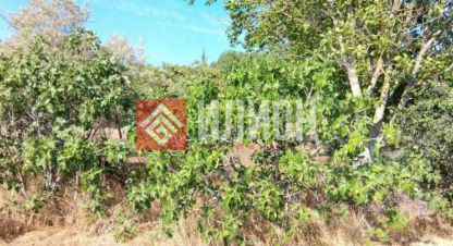 Продаётся земельный участок в г. Передовое. Фотография №7 Продаётся земельный участок в г. Передовое. Фотография №7