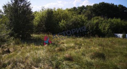 Купить земельный участок в г. Малевка. Фотография №2 Купить земельный участок в г. Малевка. Фотография №2