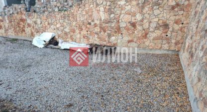 Купить земельный участок, Россия, г. Тсн родник. Фотография №9