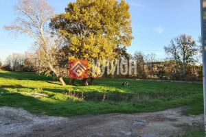 Продам земельный участок, на улице Заречная, г. Вишневое, Крым авт. респ., Россия, агентство Илион