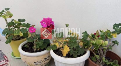 Купить квартиру 1 комнатную, 45 кв. м. Фотография №9 Купить квартиру 1 комнатную, 45 кв. м., Россия, г. Орловка. Фотография №9