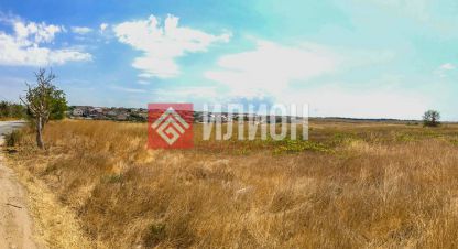 Купить земельный участок на улице Толмачева г. Тсн родник. Фотография №4