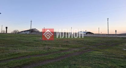 Купить земельный участок в г. Демьяновка. Фотография №2