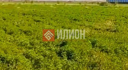 Купить земельный участок в г. Приветное . Фотография №3 Купить земельный участок в г. Приветное . Фотография №3