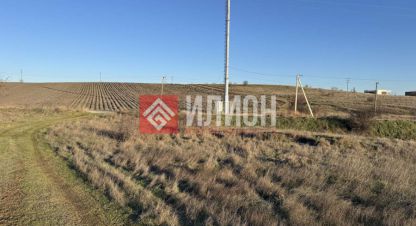 Купить земельный участок на улице Ветеранов г. Осипенко. Фотография №5