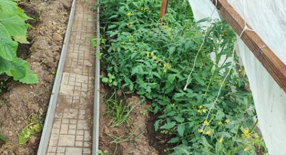 Продам коттедж/дачу 5-ти комнатную с общей площадью 70м2, г. Московская, богородскийской окр, снт заря, 120, Московская обл., Россия, агентство ЖИЛФОНД МОНИНО. Фотография №1