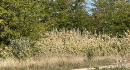 Продаётся земельный участок в г. Верхнее джемете. Фотография №6