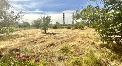 Купить земельный участок в г. Снт химик-1. Фотография №2