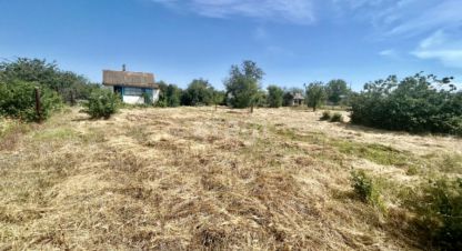 Купить земельный участок, Россия, г. Снт химик-1. Фотография №8