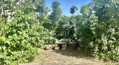 Купить земельный участок, Россия, г. Снт химик-1. Фотография №10