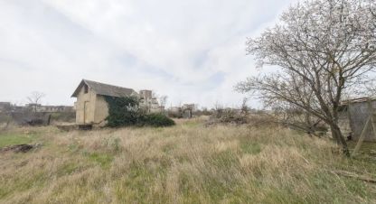 Продаётся земельный участок в г. Снт химик-1. Фотография №6