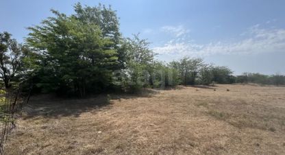 Купить земельный участок на улице Снт химик-3 г. Снт химик-3. Фотография №5