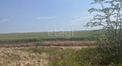 Купить земельный участок, Россия, г. Снт химик-3. Фотография №10