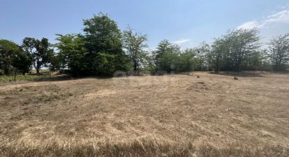 Купить земельный участок в г. Снт химик-3. Фотография №3