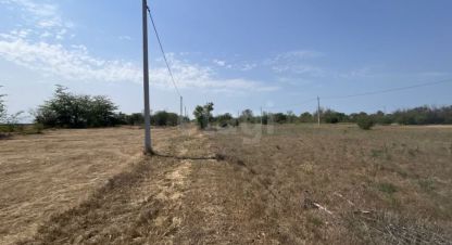 Купить земельный участок в г. Снт химик-3. Фотография №2