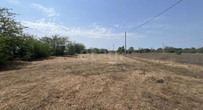 Купить земельный участок на улице Снт химик-3 г. Снт химик-3. Фотография №4