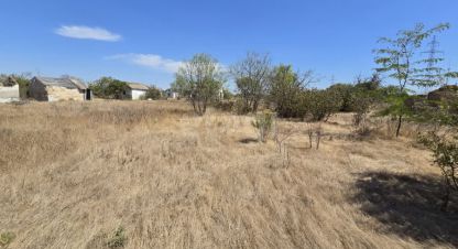 Купить земельный участок, Россия, г. Снт химик-1. Фотография №9