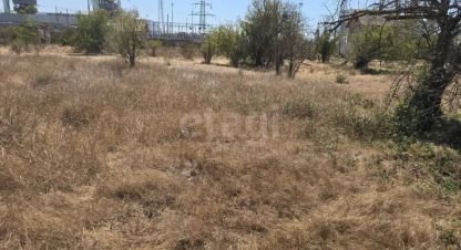 Продаётся земельный участок в г. Снт химик-1. Фотография №6