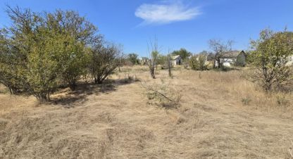 Продаётся земельный участок в г. Снт химик-1. Фотография №7